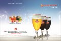 多彩扎啤產(chǎn)品圖冊