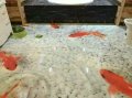 產(chǎn)品效果