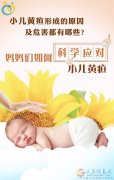 義馬愛(ài)子緣家政{信息部}
