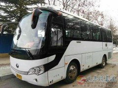 急招會(huì)計(jì)客車司機(jī)