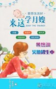 免費(fèi)月嫂，護(hù)工，廚師火熱招生中