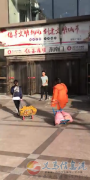 高薪誠(chéng)聘