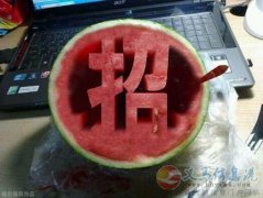 VJT護(hù)膚品免費(fèi)領(lǐng)取試用裝，招代理