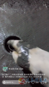 防水補漏