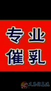 月嫂、育嬰師、保姆、鐘點工、護(hù)工。家政就找愛子緣
