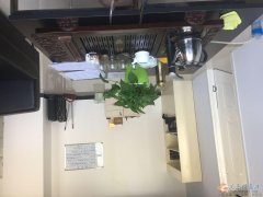 招募業(yè)務(wù)精英 義馬澠池工作 底薪加提成加補助