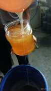 觀音堂王氏蜂蜜——天然純正無公害成熟蜂蜜