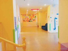 招夢想合伙人【助教】