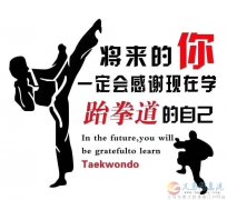 義馬悟道國際跆拳道