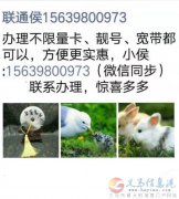 聯(lián)通寬帶、手機卡-侯