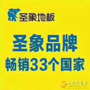 圣象地板在澠池及義馬地區(qū)招商了