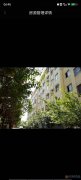 毛溝苗元社區(qū)一樓96平方三室一廚一衛(wèi)（附帶車庫）一起出售