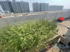 水岸華庭小三室房屋出售 精裝拎包入住